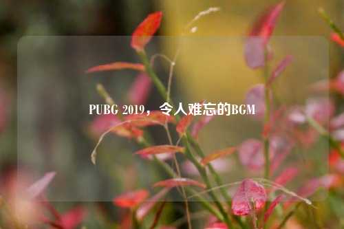 PUBG 2019，令人难忘的BGM