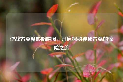 逆战古墓魔影陷阱图,开启探秘神秘古墓的惊险之旅