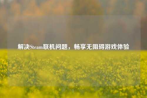 解决Steam联机问题，畅享无阻碍游戏体验