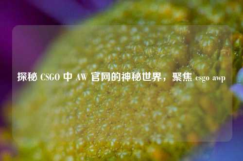 探秘 CSGO 中 AW 官网的神秘世界,聚焦 csgo awp