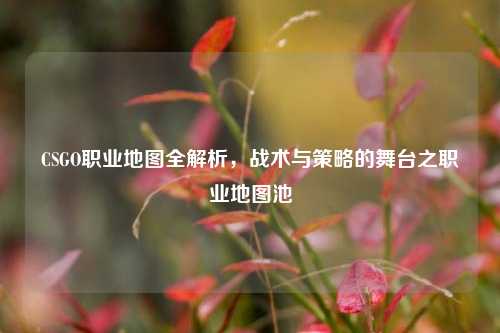 CSGO职业地图全解析,战术与策略的舞台之职业地图池