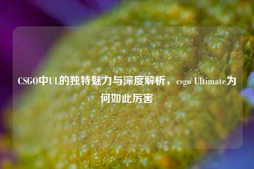 CSGO中UL的独特魅力与深度解析，csgo Ultimate为何如此厉害