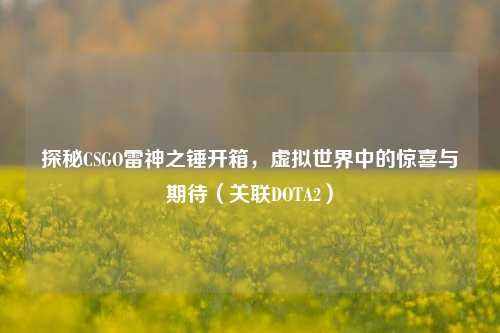探秘CSGO雷神之锤开箱,虚拟世界中的惊喜与期待(关联DOTA2)