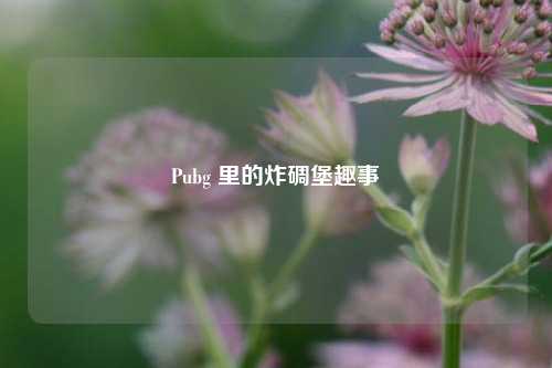 Pubg 里的炸碉堡趣事