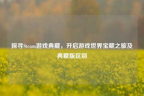 探寻Steam游戏典藏，开启游戏世界宝藏之旅及典藏版区别