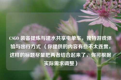 CSGO 装备提炼与建水共享电单车,独特游戏体验与出行方式 (你提供的内容有些不太连贯,这样的标题尽量把两者结合起来了,你可根据实际需求调整)