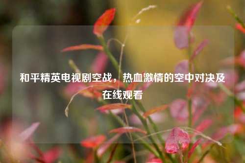 和平精英电视剧空战,热血激情的空中对决及在线观看