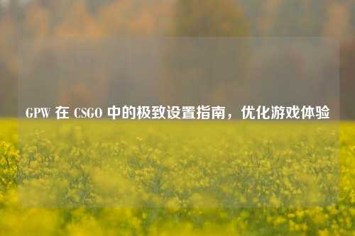 GPW 在 CSGO 中的极致设置指南,优化游戏体验