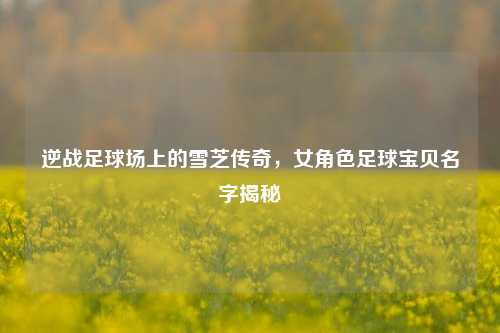 逆战足球场上的雪芝传奇,女角色足球宝贝名字揭秘