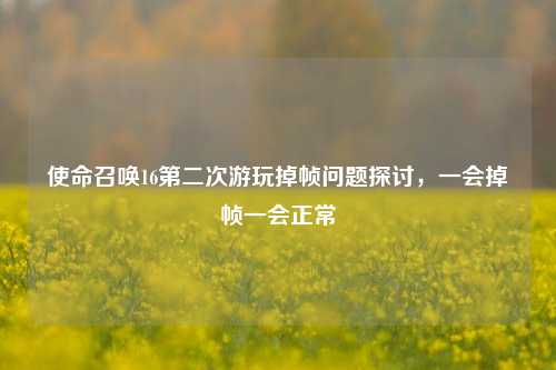 使命召唤16第二次游玩掉帧问题探讨,一会掉帧一会正常