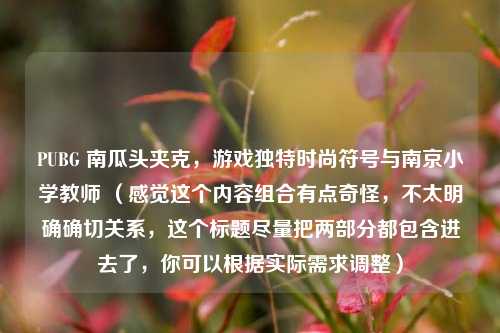 PUBG 南瓜头夹克,游戏独特时尚符号与南京小学教师 (感觉这个内容组合有点奇怪,不太明确确切关系,这个标题尽量把两部分都包含进去了,你可以根据实际需求调整)
