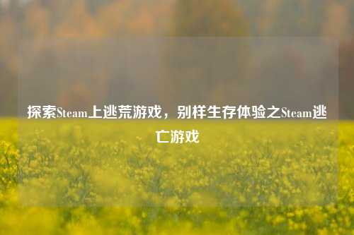 探索Steam上逃荒游戏,别样生存体验之Steam逃亡游戏