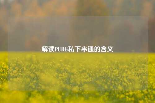 解读PUBG私下串通的含义