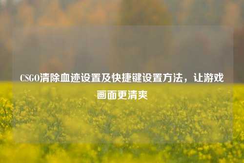 CSGO清除血迹设置及快捷键设置方法,让游戏画面更清爽