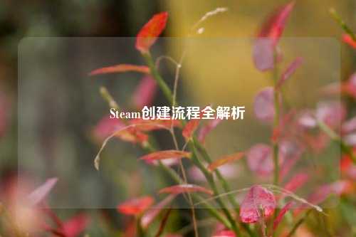 Steam创建流程全解析