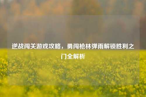 逆战闯关游戏攻略,勇闯枪林弹雨解锁胜利之门全解析
