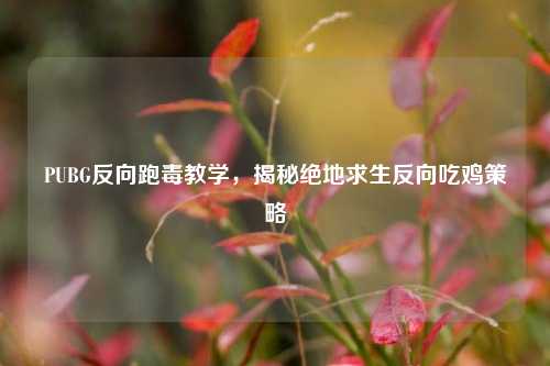 PUBG反向跑毒教学，揭秘绝地求生反向吃鸡策略