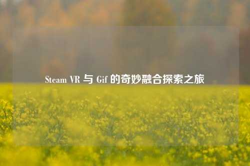 Steam VR 与 Gif 的奇妙融合探索之旅