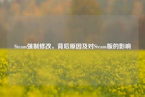 Steam强制修改,背后原因及对Steam版的影响