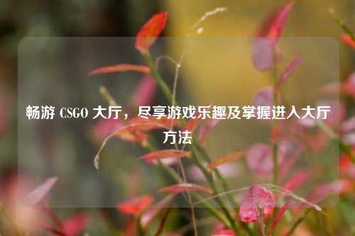 畅游 CSGO 大厅,尽享游戏乐趣及掌握进入大厅方法