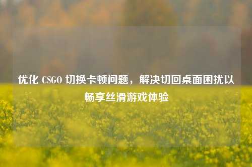 优化 CSGO 切换卡顿问题,解决切回桌面困扰以畅享丝滑游戏体验