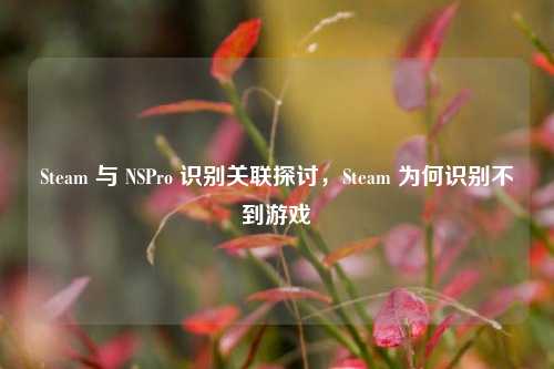 Steam 与 NSPro 识别关联探讨,Steam 为何识别不到游戏