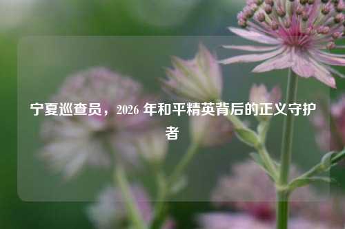 宁夏巡查员,2026 年和平精英背后的正义守护者