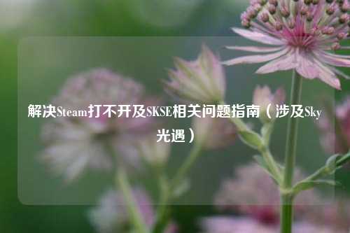 解决Steam打不开及SKSE相关问题指南(涉及Sky光遇)