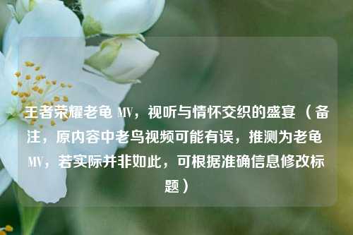 王者荣耀老龟 MV，视听与情怀交织的盛宴 （备注，原内容中老鸟视频可能有误，推测为老龟 MV，若实际并非如此，可根据准确信息修改标题）