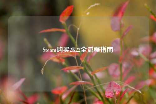 Steam购买2K22全流程指南