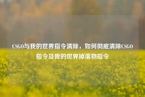 CSGO与我的世界指令清除,如何彻底清除CSGO指令及我的世界掉落物指令