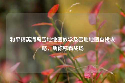 和平精英海岛雪地地图教学及雪地地图查找攻略,助你称霸战场