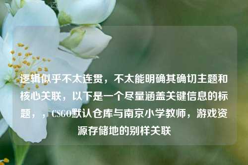 逻辑似乎不太连贯，不太能明确其确切主题和核心关联，以下是一个尽量涵盖关键信息的标题，，CSGO默认仓库与南京小学教师，游戏资源存储地的别样关联