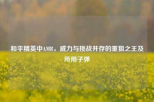 和平精英中AMR，威力与挑战并存的重狙之王及所用子弹