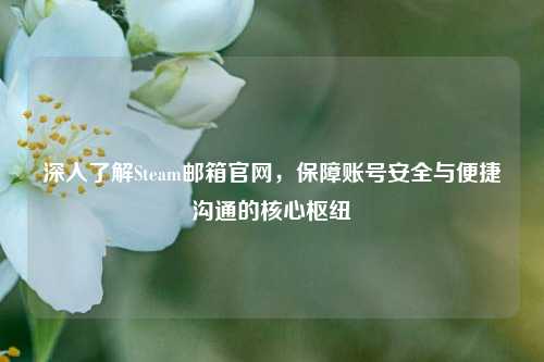深入了解Steam邮箱官网,保障账号安全与便捷沟通的核心枢纽