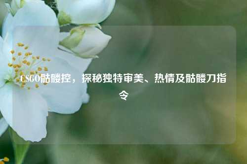 CSGO骷髅控,探秘独特审美、热情及骷髅刀指令