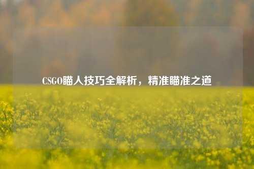 CSGO瞄人技巧全解析,精准瞄准之道
