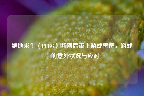 绝地求生(PUBG)断网后重上游戏黑屏,游戏中的意外状况与应对
