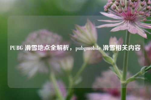PUBG 滑雪地点全解析,pubgmobile 滑雪相关内容