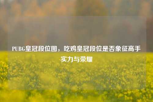 PUBG皇冠段位图，吃鸡皇冠段位是否象征高手实力与荣耀