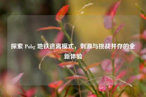 探索 Pubg 地铁逃离模式,刺激与挑战并存的全新体验