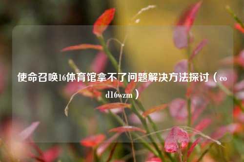 使命召唤16体育馆拿不了问题解决方法探讨(cod16wzm)