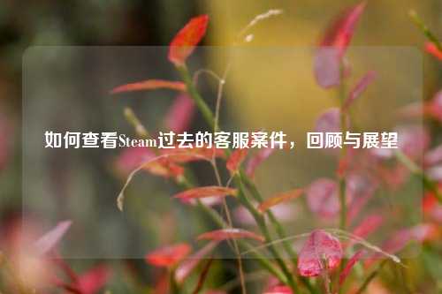 如何查看Steam过去的客服案件,回顾与展望