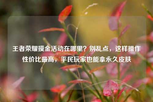 王者荣耀摸金活动在哪里?别乱点,这样操作性价比最高,平民玩家也能拿永久皮肤