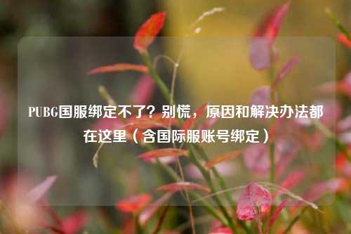 PUBG国服绑定不了？别慌，原因和解决办法都在这里（含国际服账号绑定）