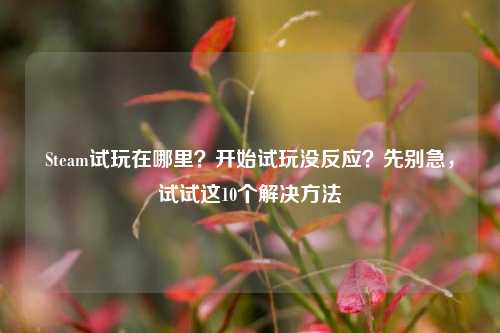 Steam试玩在哪里？开始试玩没反应？先别急，试试这10个解决方法