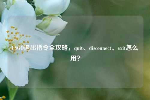 CSGO退出指令全攻略,quit、disconnect、exit怎么用?