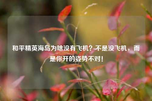 和平精英海岛为啥没有飞机?不是没飞机,而是你开的姿势不对!