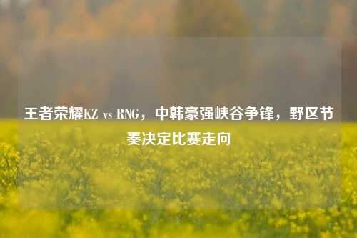 王者荣耀KZ vs RNG,中韩豪强峡谷争锋,野区节奏决定比赛走向
