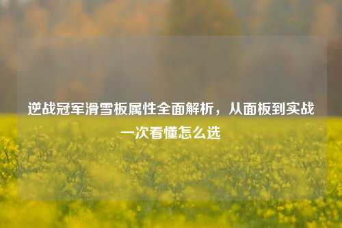 逆战冠军滑雪板属性全面解析,从面板到实战一次看懂怎么选